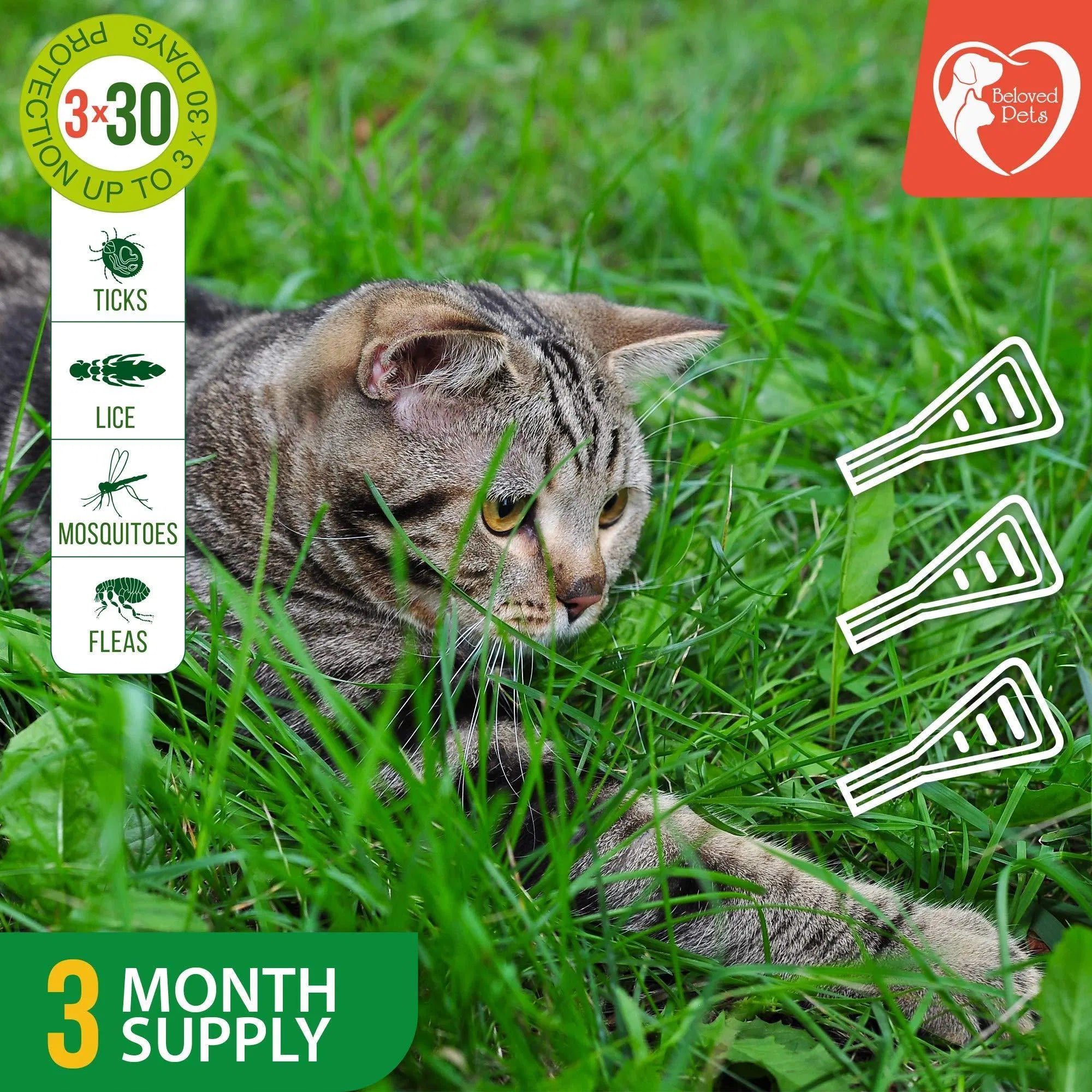 Natural Flea and Tick Treatment Drops - Dogs Cats Rabbits