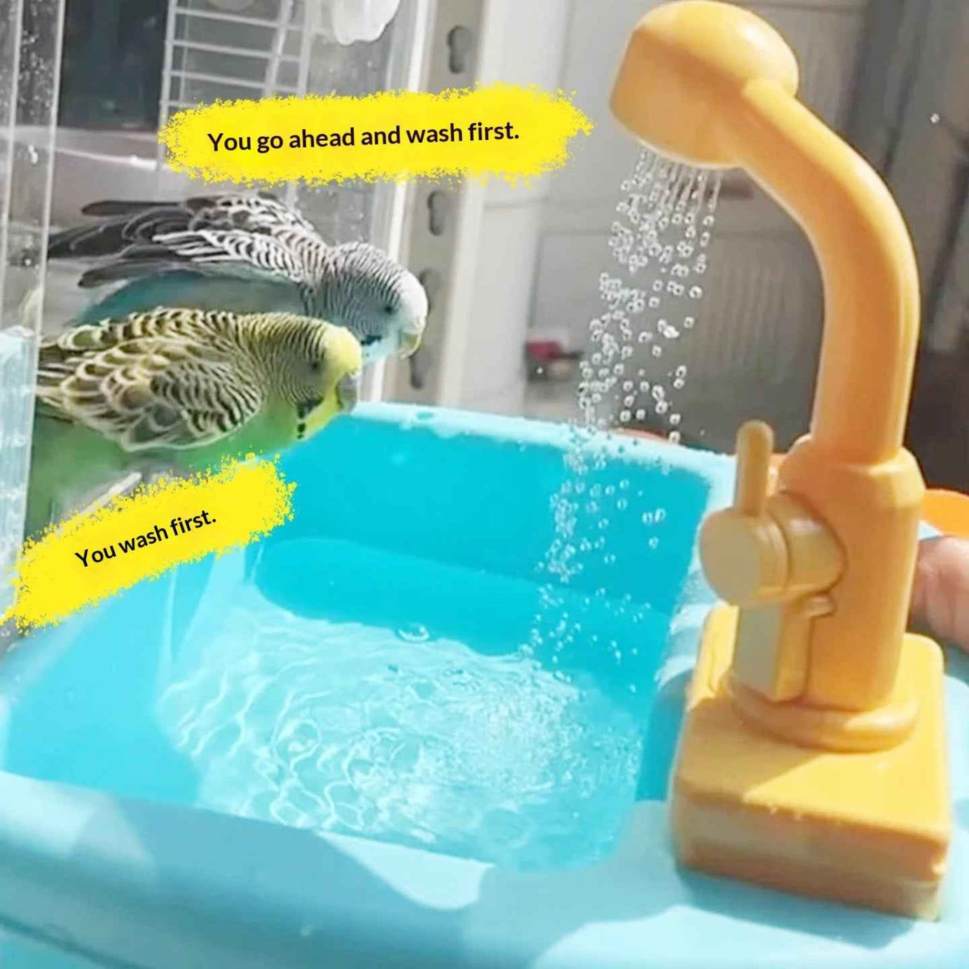 Automatic Pet Bird Dinosaur Bathtub Toy for Parrots & Parakeets
