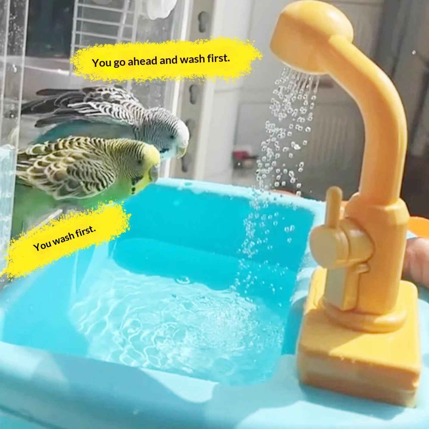 Automatic Pet Bird Dinosaur Bathtub Toy for Parrots & Parakeets