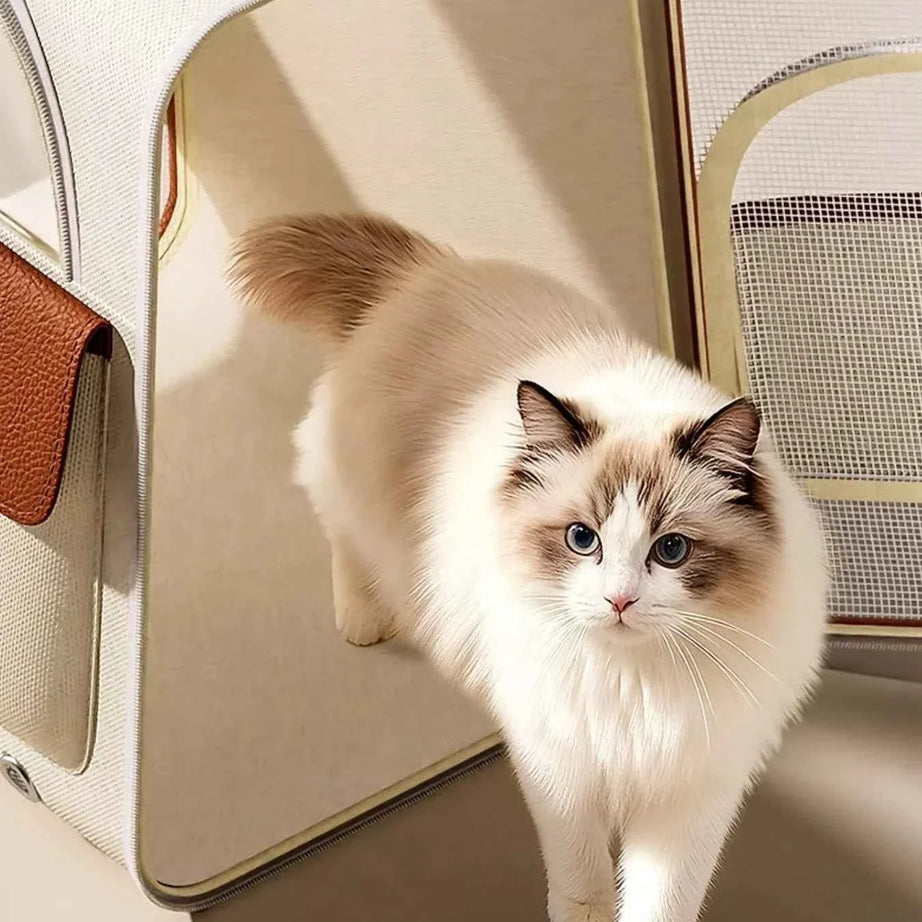 Pet Carrier Backpack Breathable - Mesh Ventilation Travel