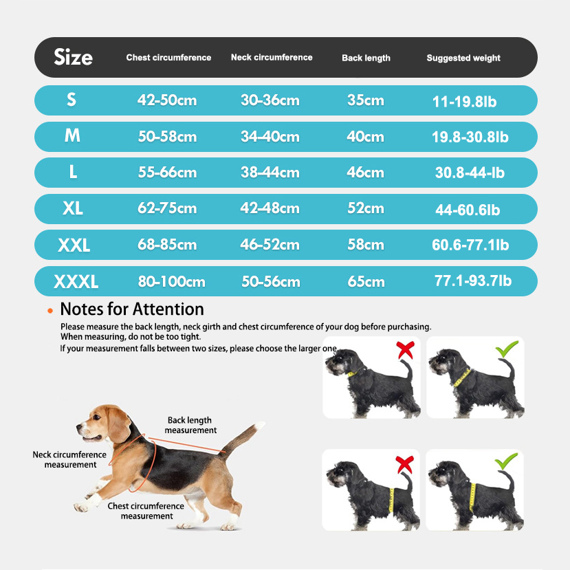 Dog Cooling Vest with D-Ring – For Active Pup Adventures