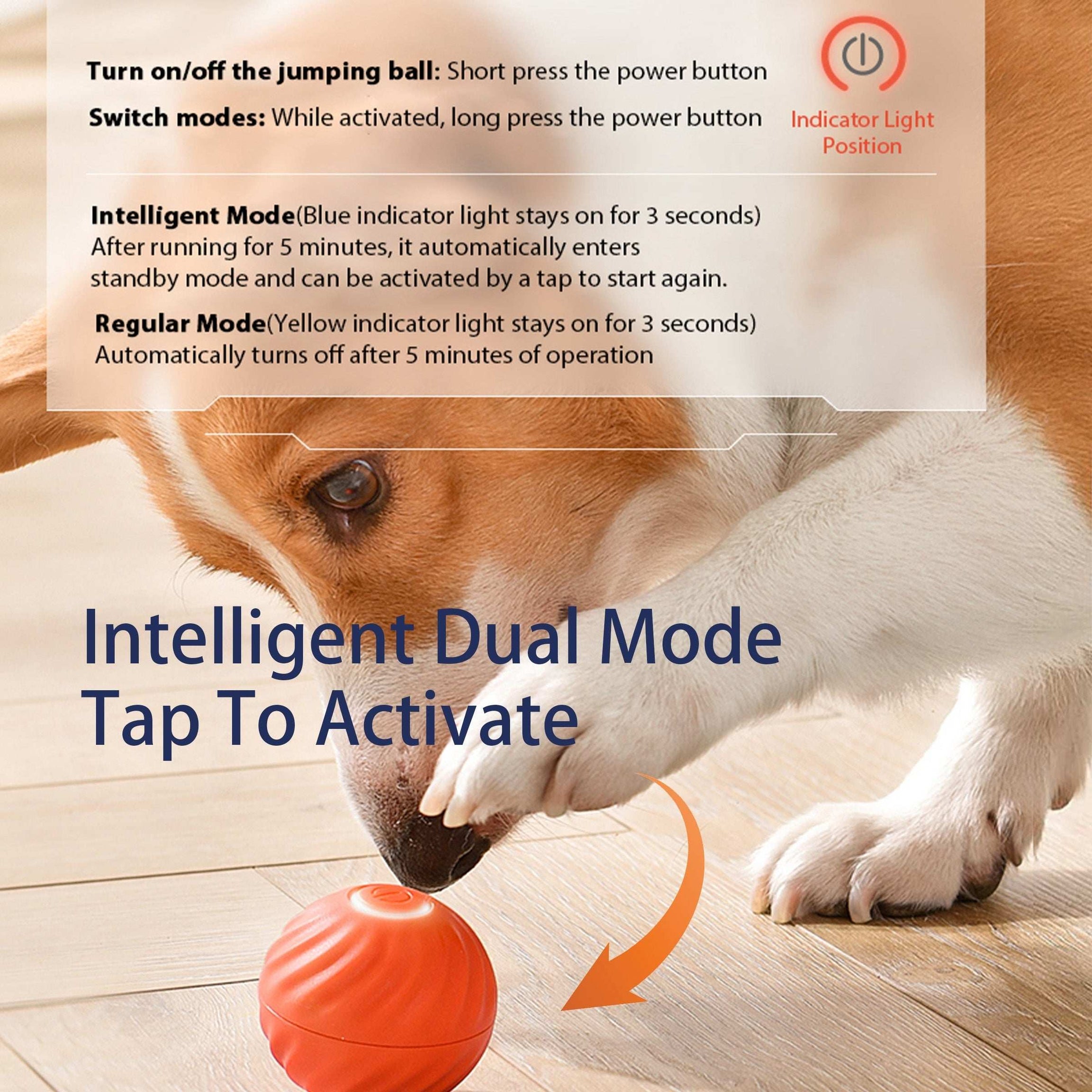 Smart Interactive Bouncing Ball Dog Toy