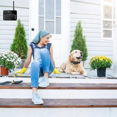 Wireless Dog Fence - Electric Boundary System With Waterproof Collar
