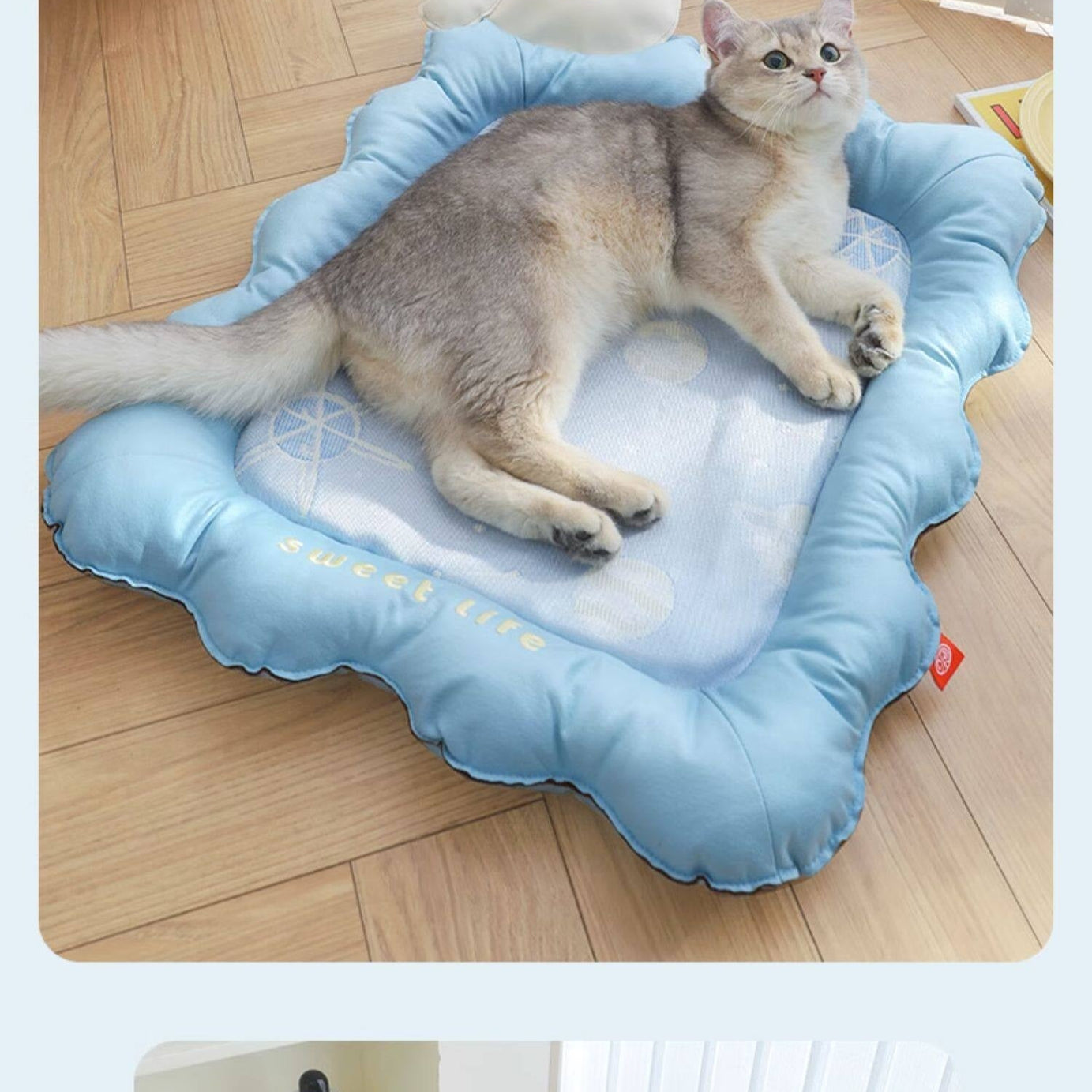 Cat Cooling Mat Ice Silk - Bear Print Summer Sleep Pad