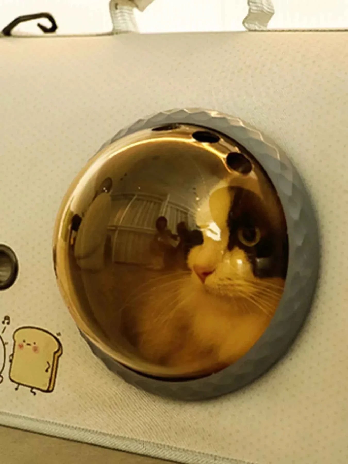Pet Carrier Bag - Portable Bubble Window