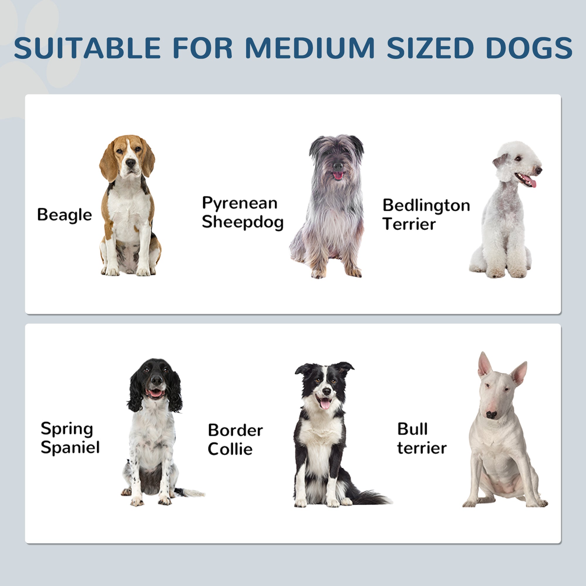 Mealtime Command Center - Dog Feeding Station