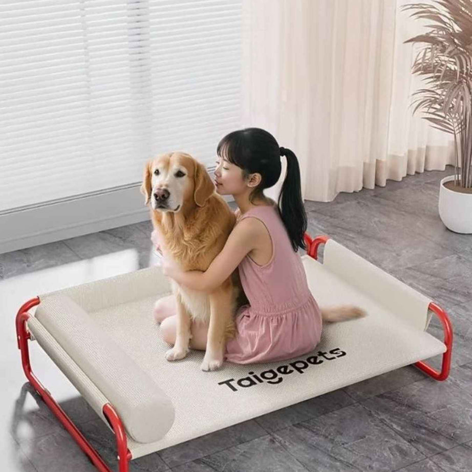 Foldable Pet Bed - Portable Easy Storage