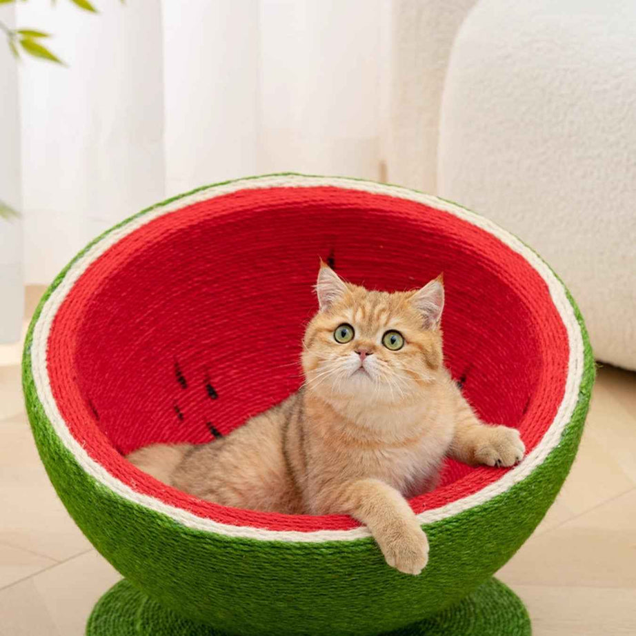 Cat Scratching Post Nest - Purr-fect Watermelon Shaped