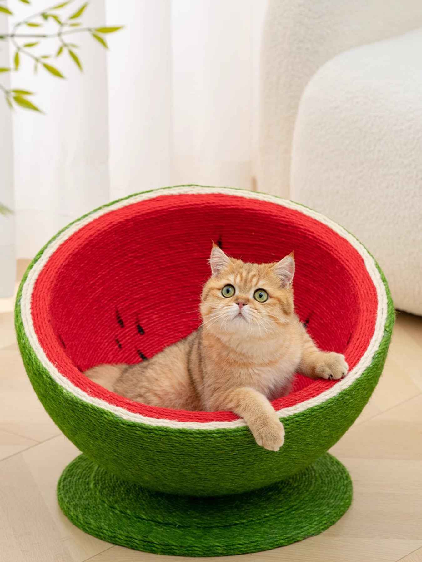 Cat Scratching Post Nest - Purr-fect Watermelon Shaped