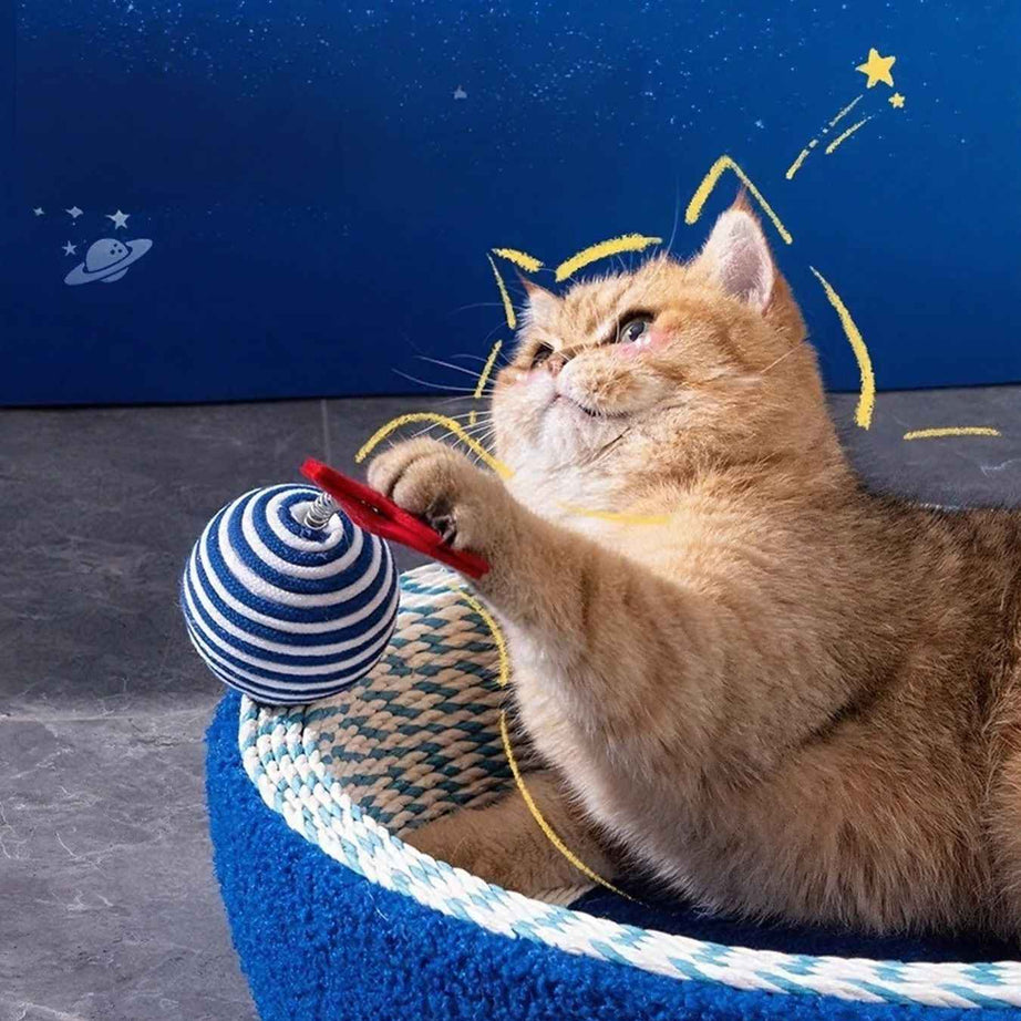 Cat Scratching Pad Round Nest - 5 Styles Lounge and Scratch
