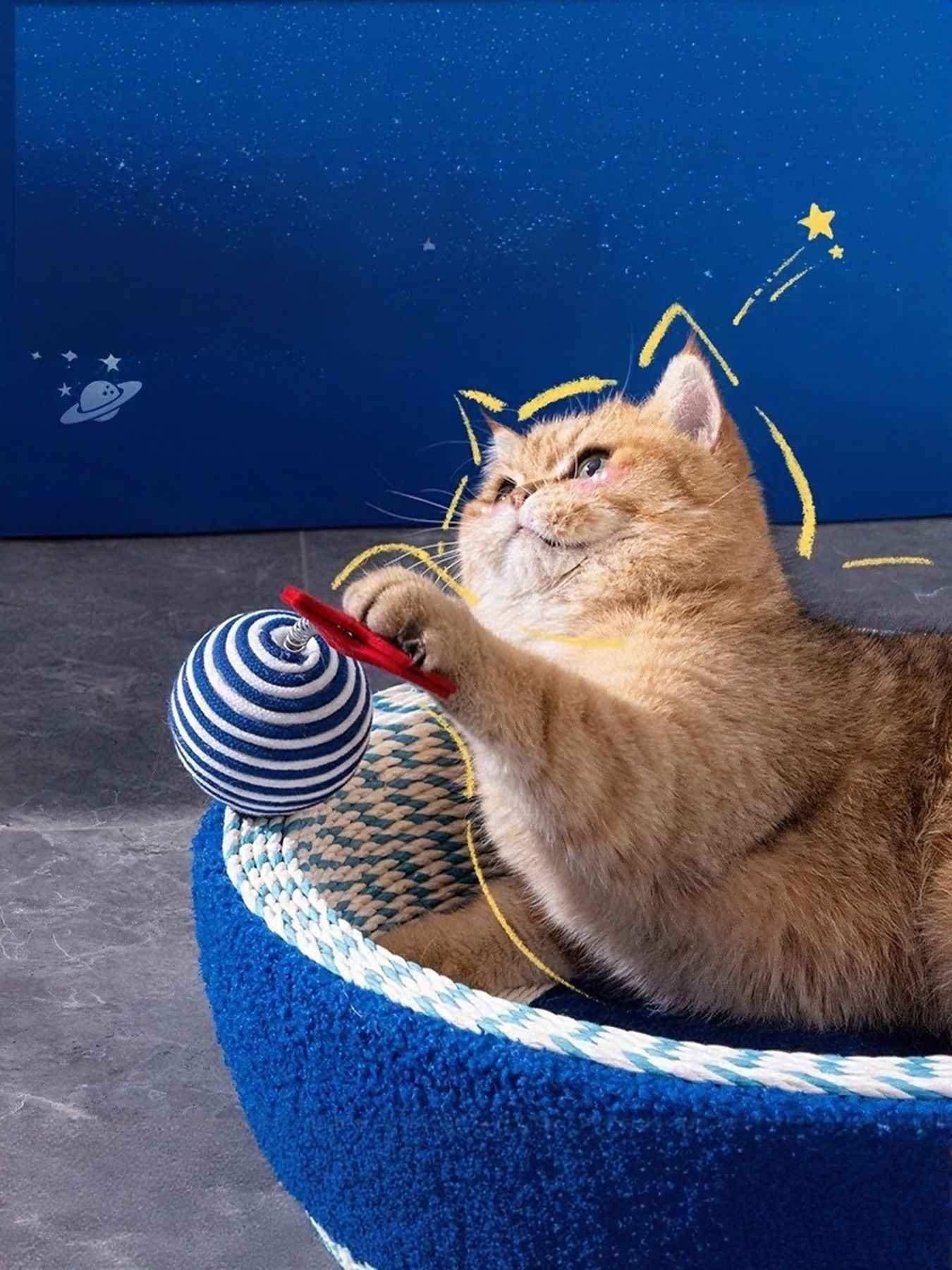 Cat Scratching Pad Round Nest - 5 Styles Lounge and Scratch