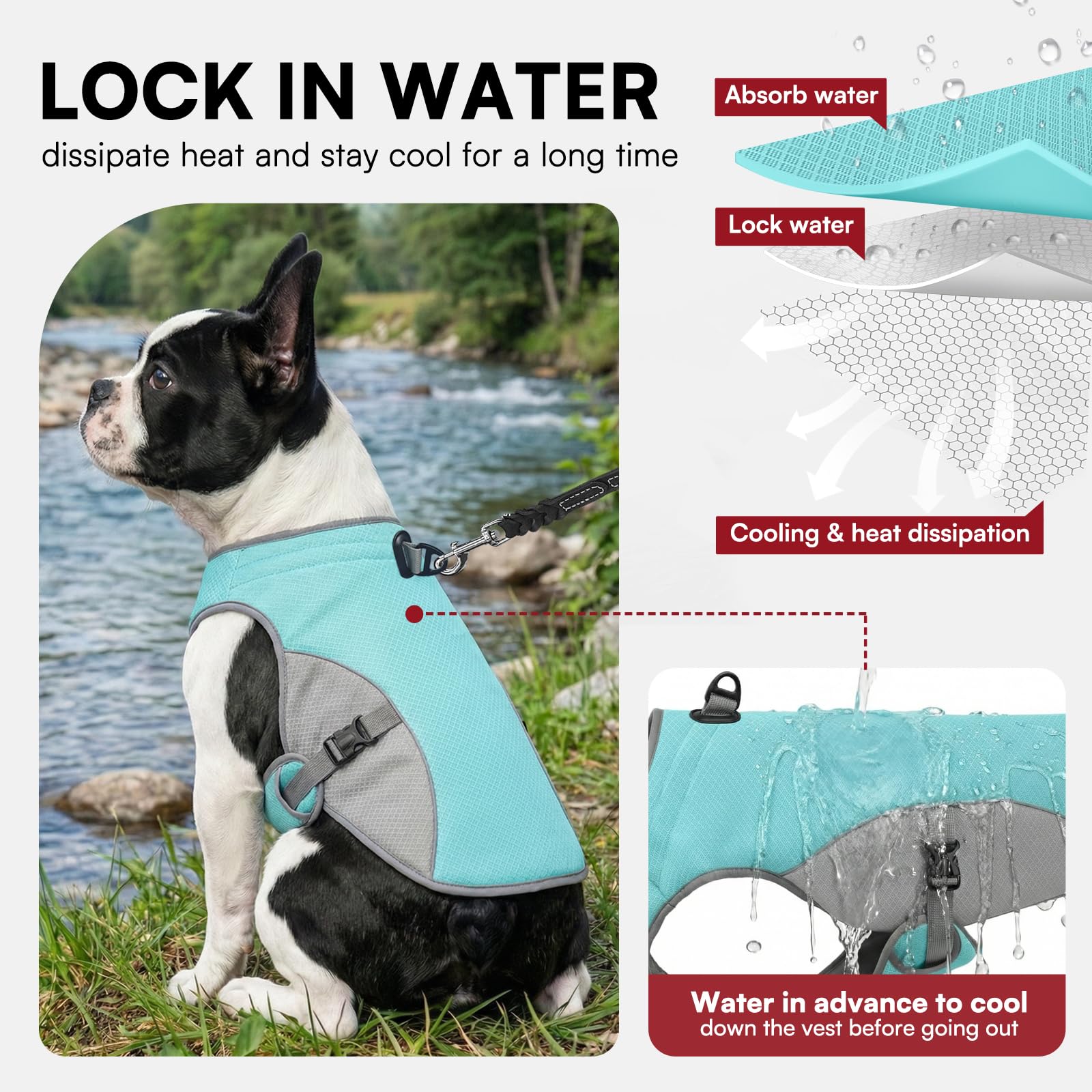 Dog Cooling Vest with D-Ring – For Active Pup Adventures