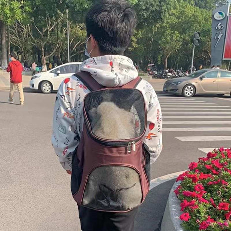 Portable Breathable Puppy Dog Carrier Backpack Pet Bag