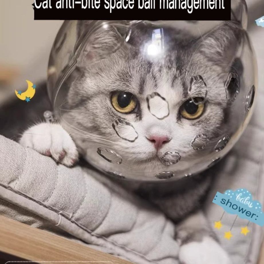 Clear Shield - Anti-Bite Pet Spherical Head Cover