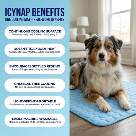 Chill Out: Pet Ice Silk Cooling Pad for Summer Comfort