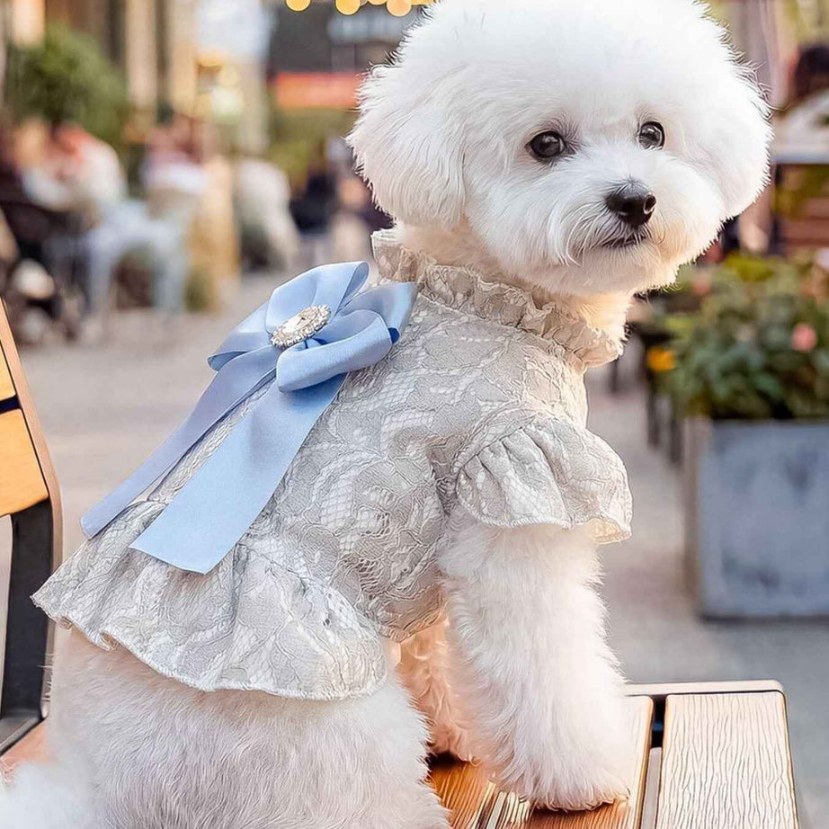 Dog Lace Ruffle Dress - Jacquard Bow with Rhinestone for Small Dogs