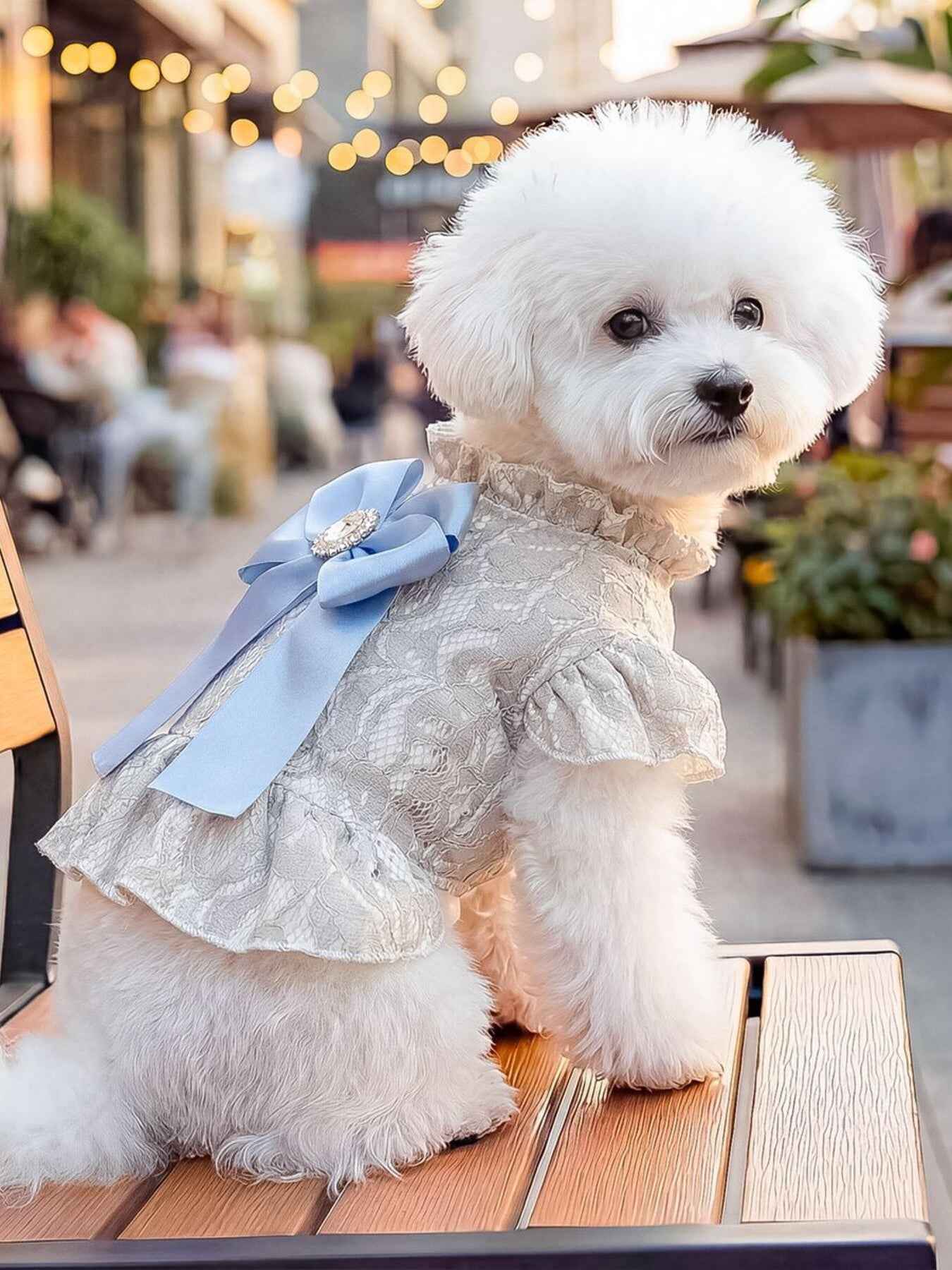 Dog Lace Ruffle Dress - Jacquard Bow with Rhinestone for Small Dogs