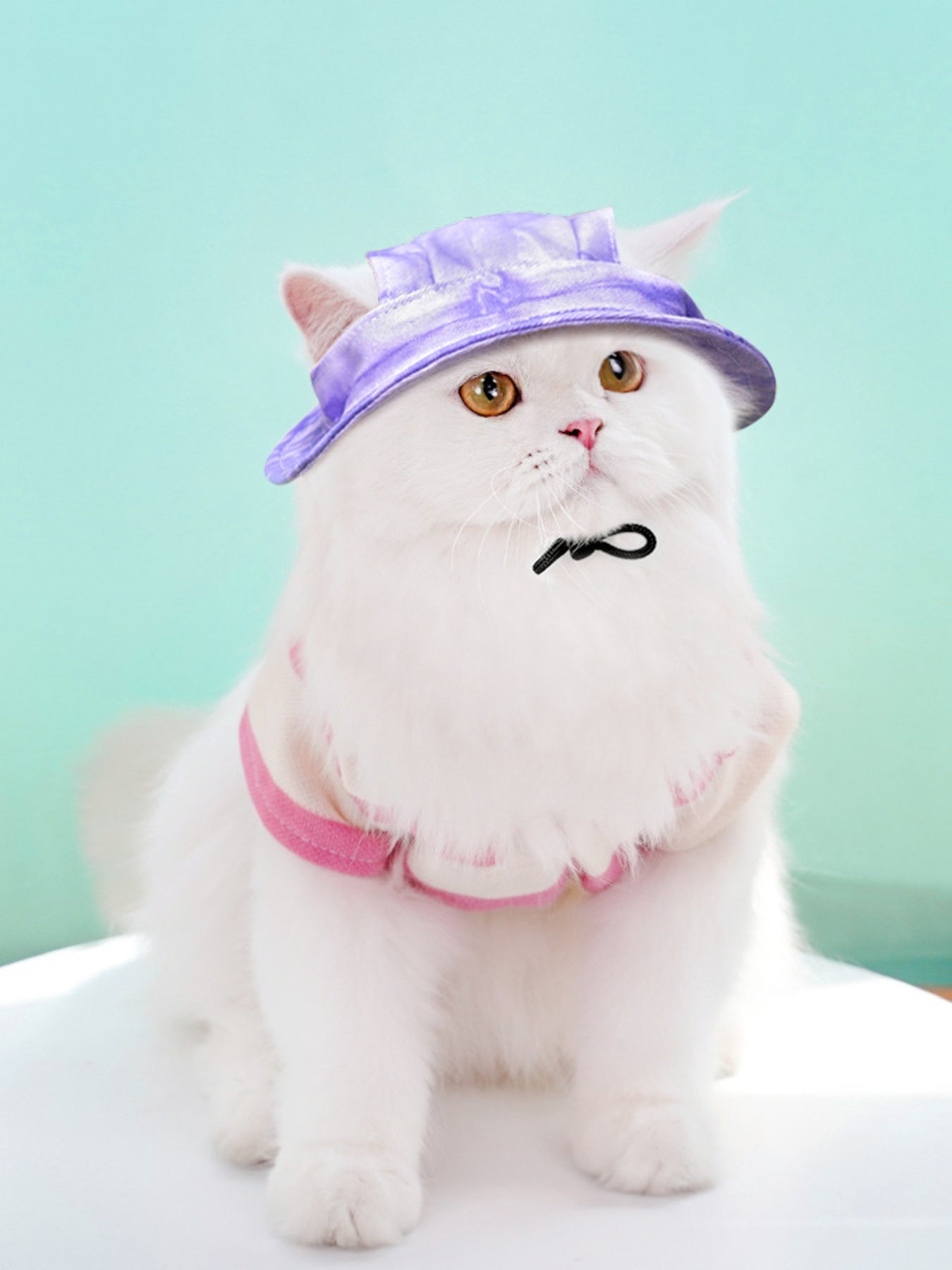 Adjustable Pet Visor Hat - Sun-Safe Shade