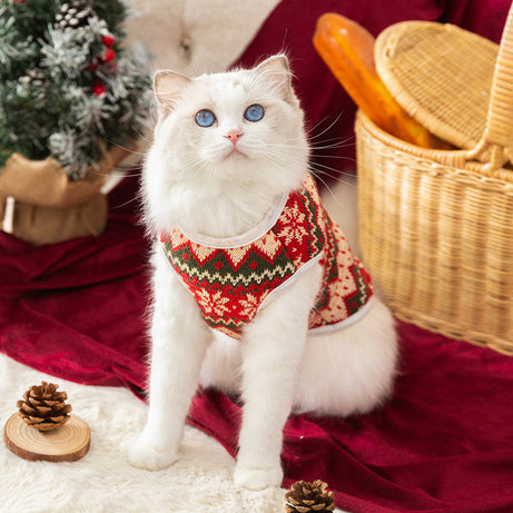 Bear Hugs Sweater - Small Dog Winter Warm Coat