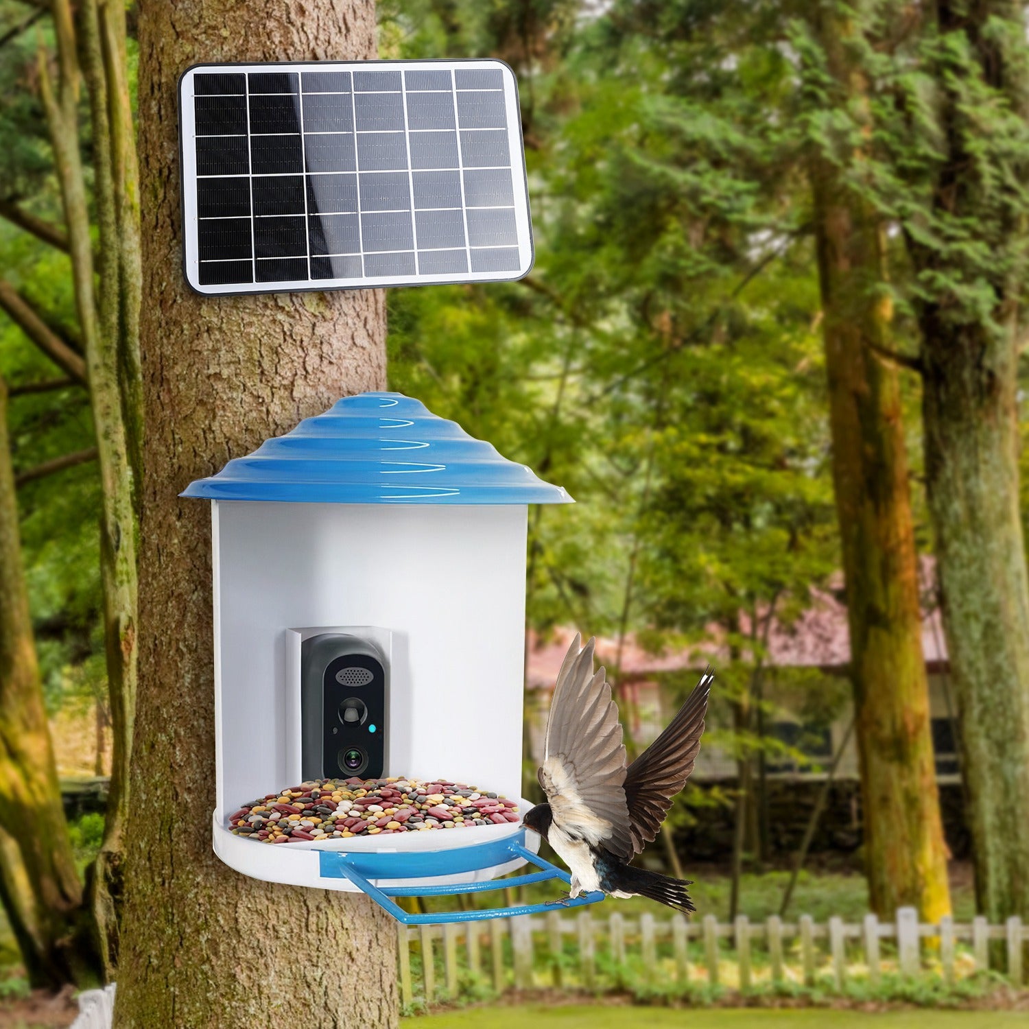 BirdCam Pro Feeder - Smart Solar HD Camera with AI ID