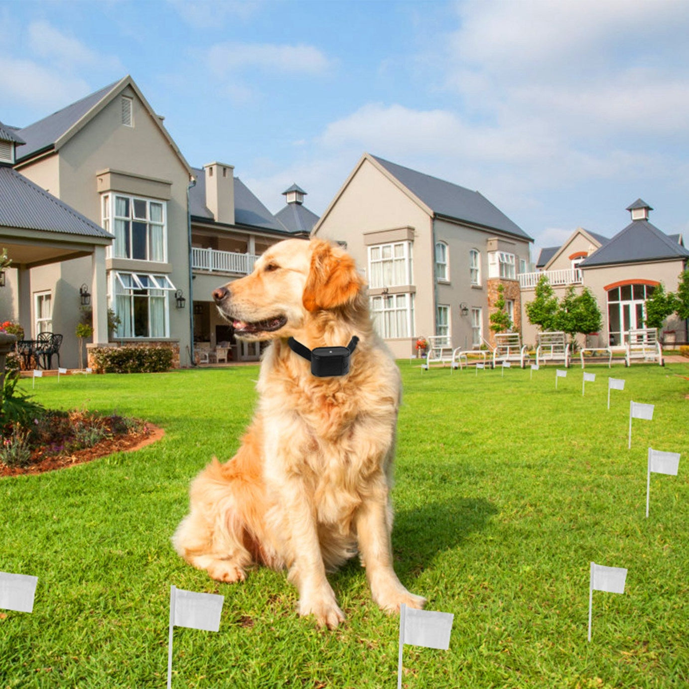 Dog Electric Fence System - In-Ground Wire Boundary 1.2 Acres