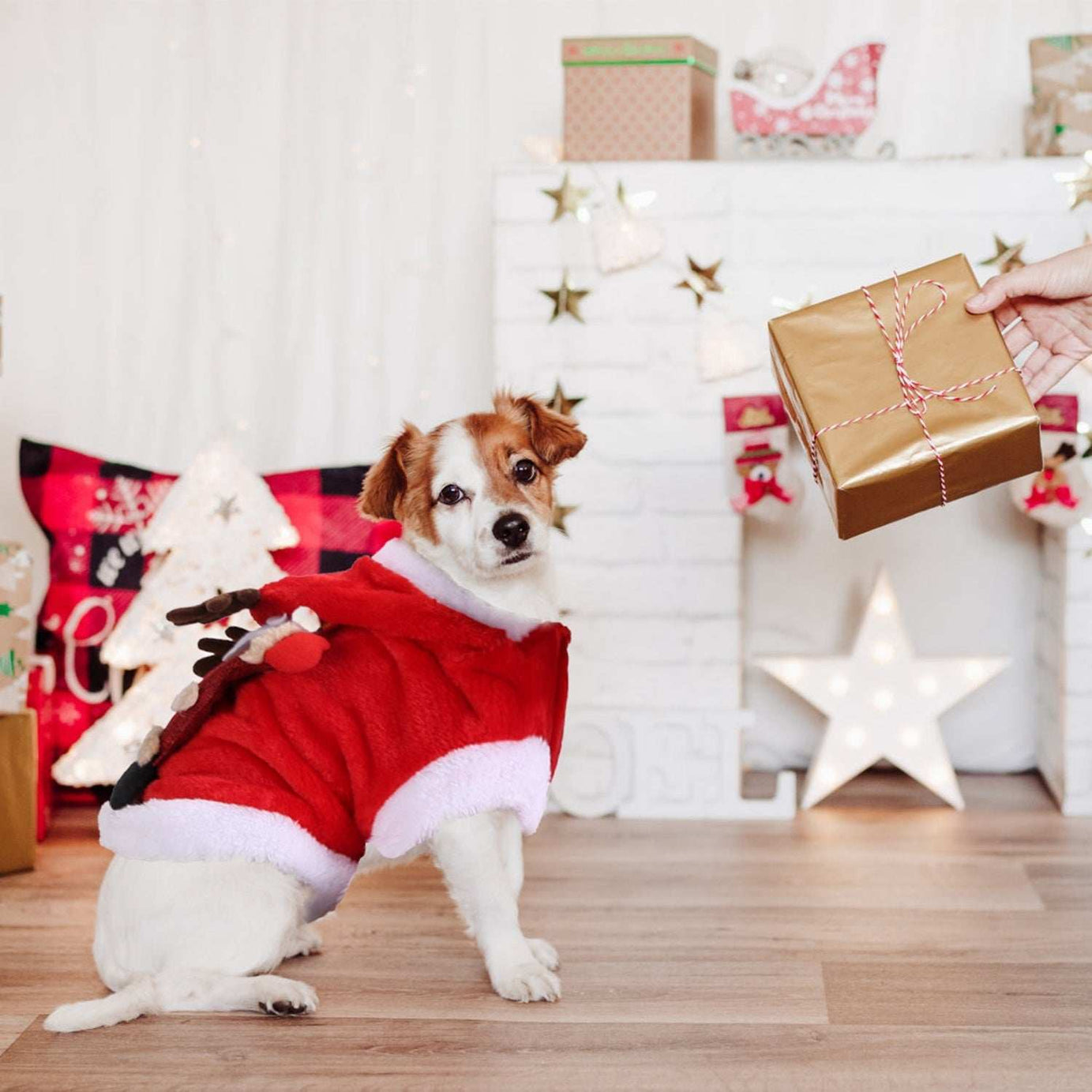 Christmas Santa Reindeer Pet Outfit - 3D Antlers