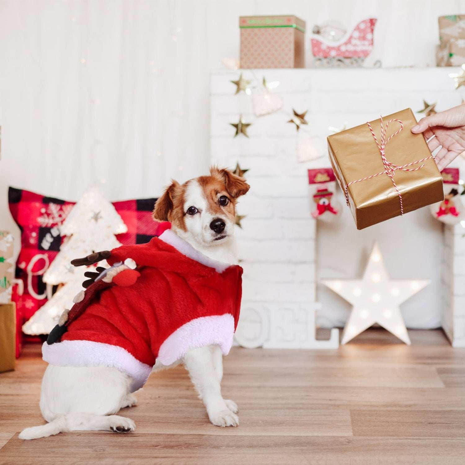 Christmas Santa Reindeer Pet Outfit - 3D Antlers