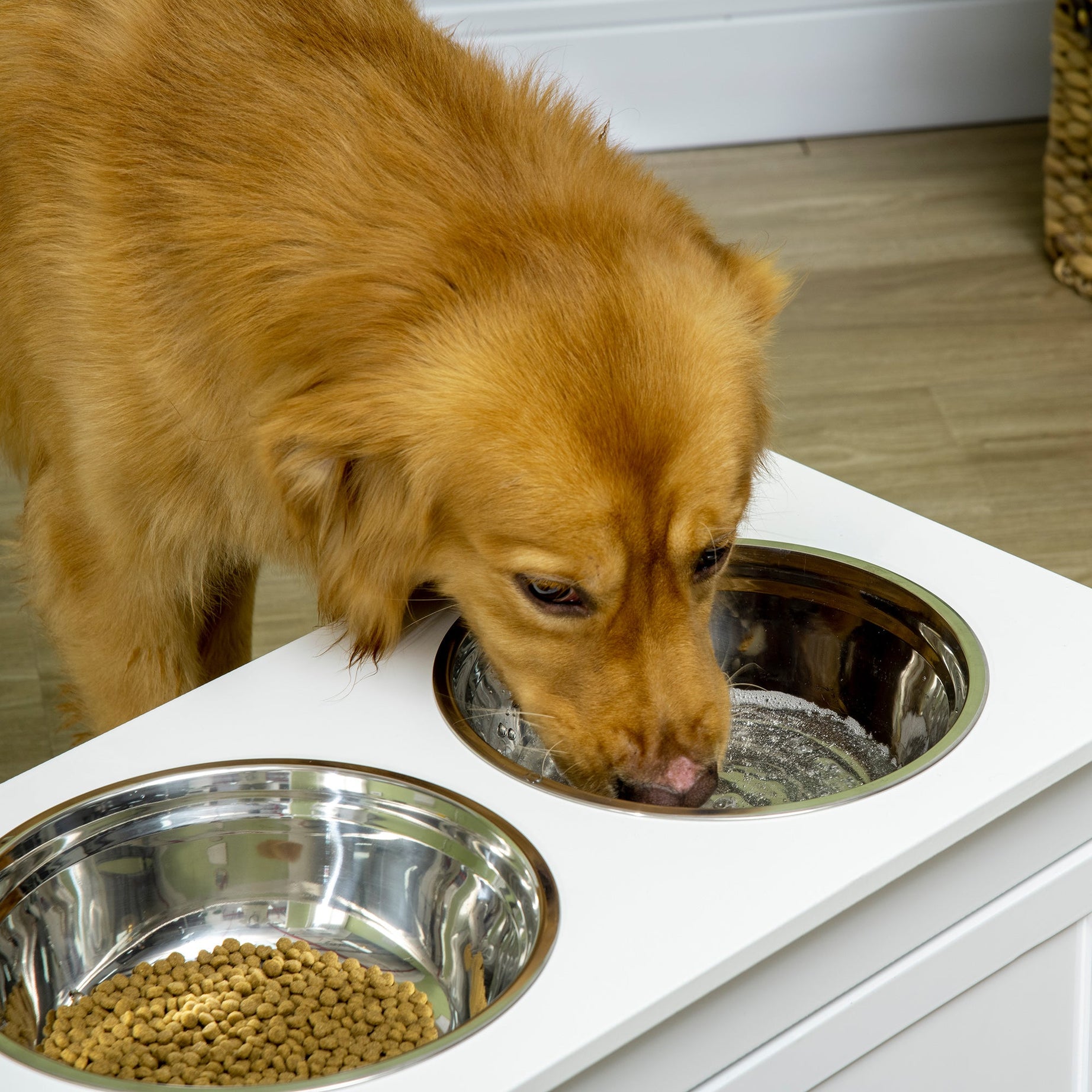 Elevated Dog Feeding Station with 11L Storage Drawer & Raised Bowls (White)