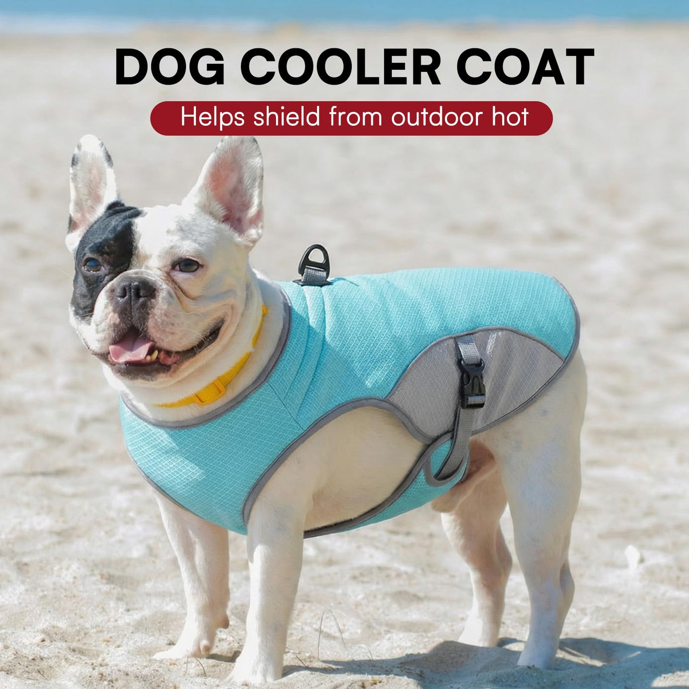 Dog Cooling Vest with D-Ring – For Active Pup Adventures