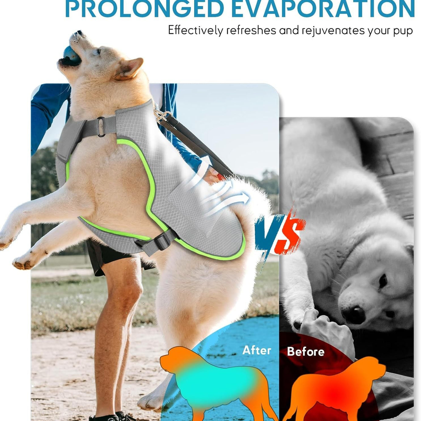 Hot Weather Dog Cooling Vest - Ice Packs and Leash Ring