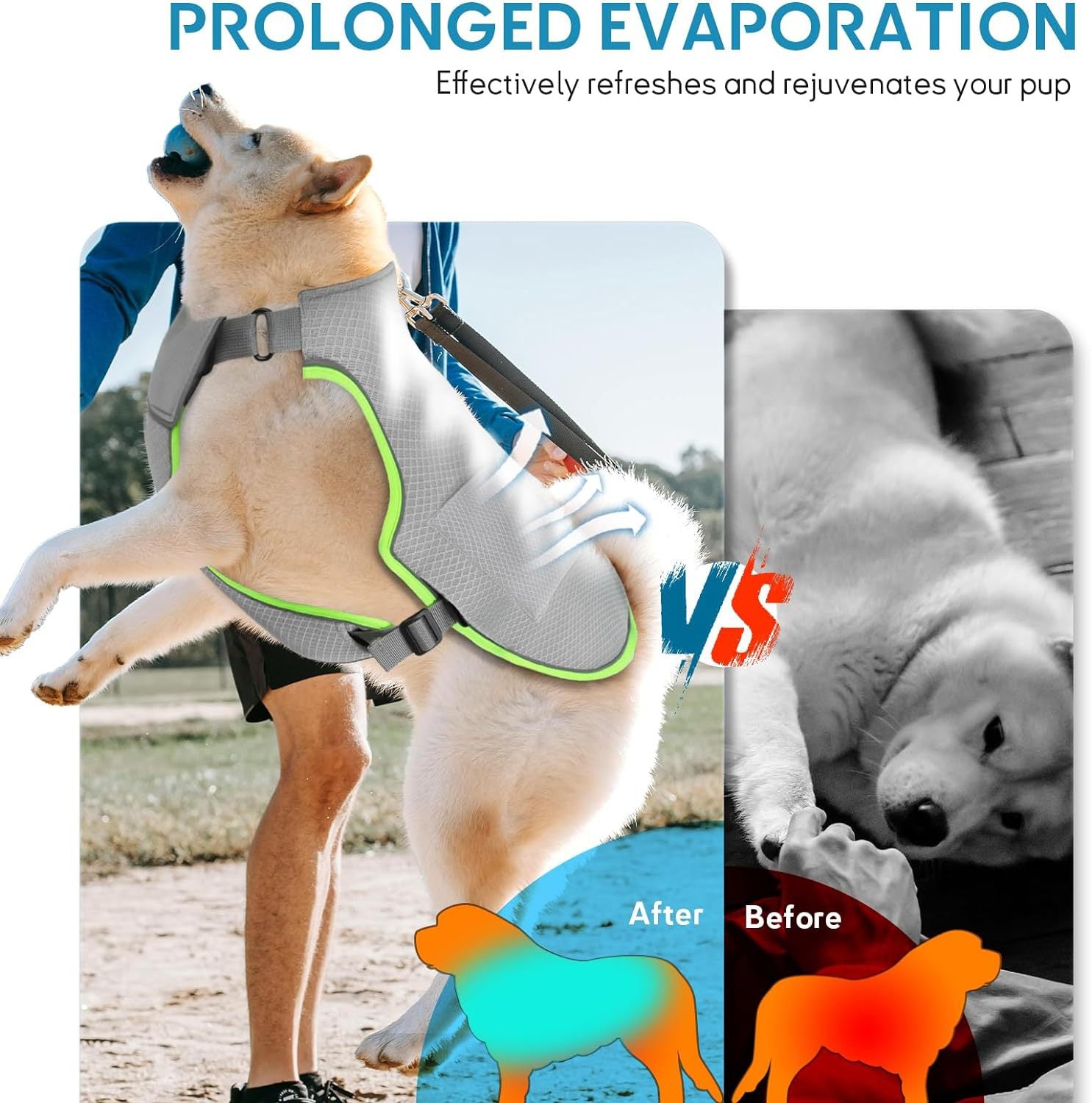 Hot Weather Dog Cooling Vest - Ice Packs and Leash Ring
