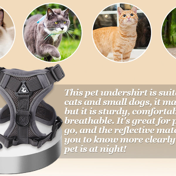 Anti-Escape Cat Harness - Breathable Mesh Leash Set