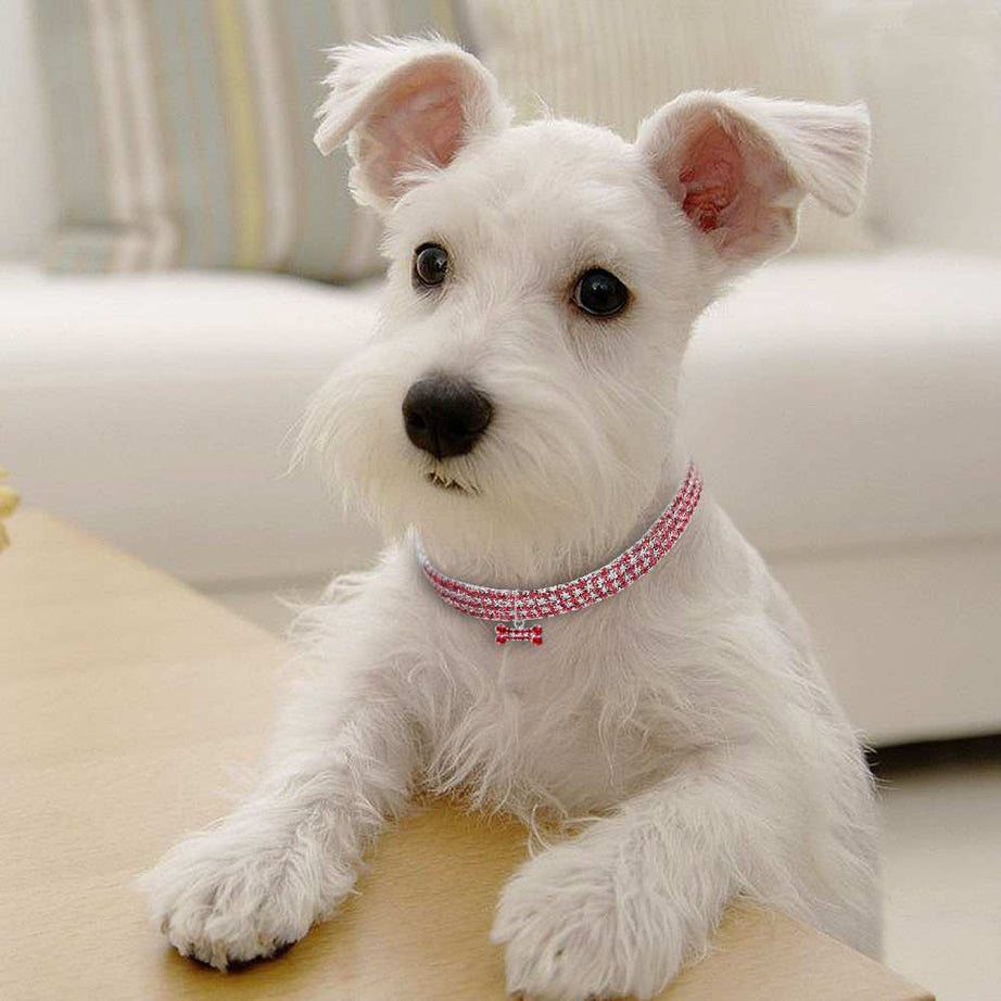 Crystal Bling Rhinestone Dog Collar for Small Medium Dogs Cats