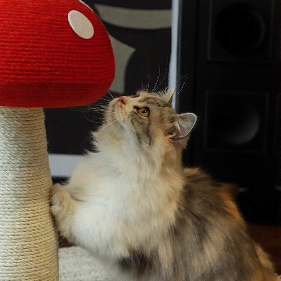 Mushroom-Shaped Cat Scratching Post