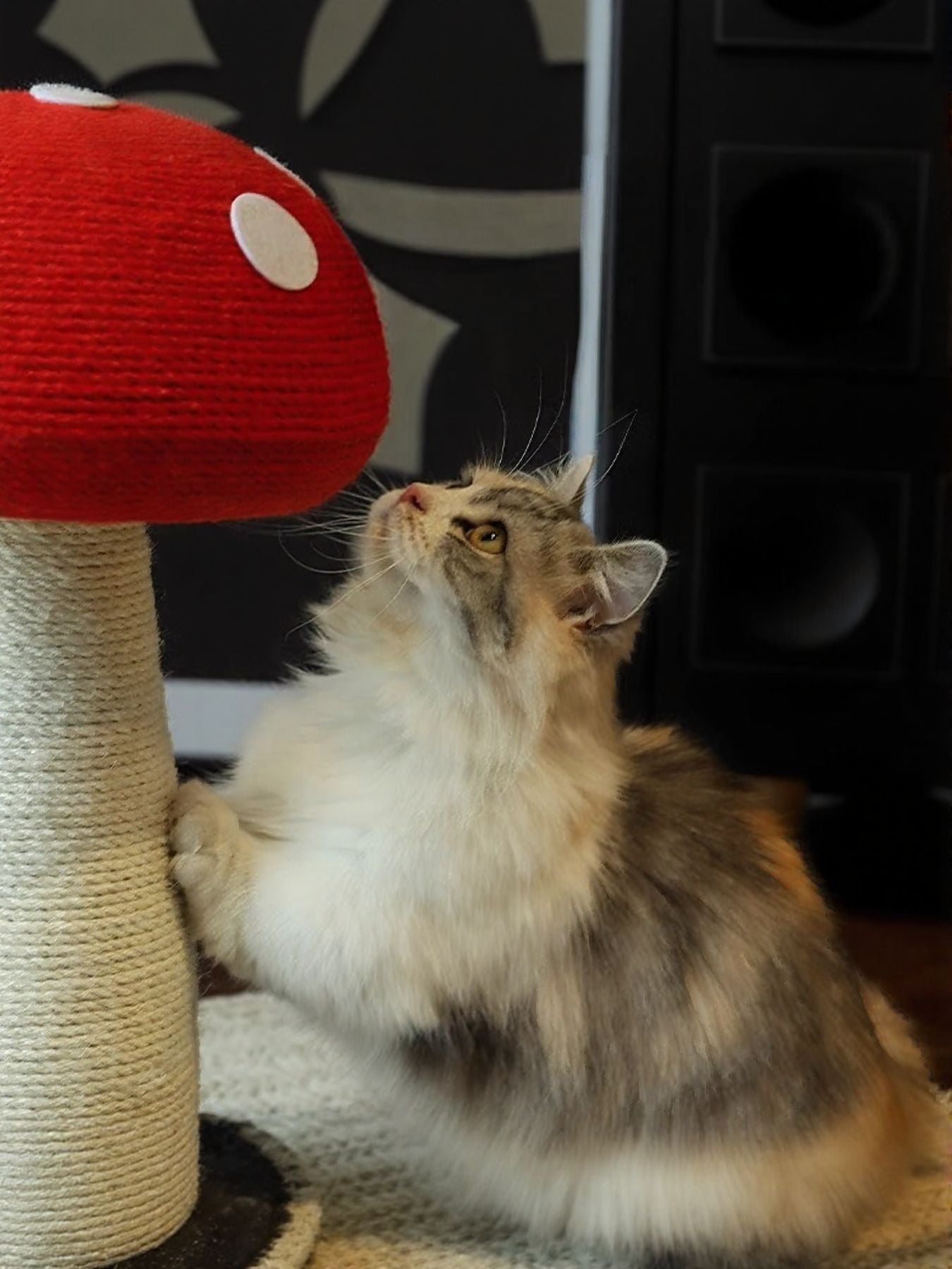 Mushroom-Shaped Cat Scratching Post