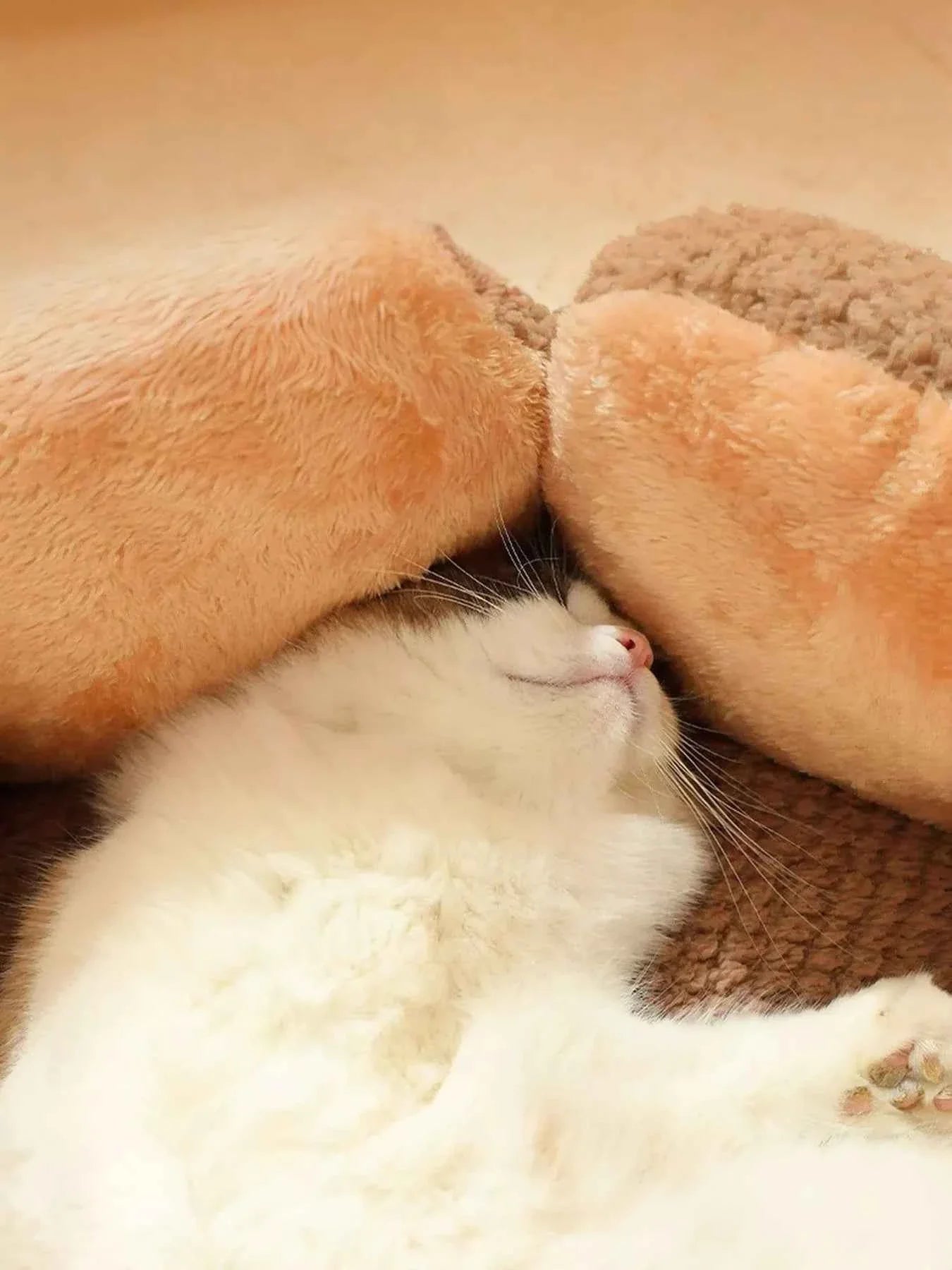 Plush Cozy Pet Nest - Fun Flower Petal