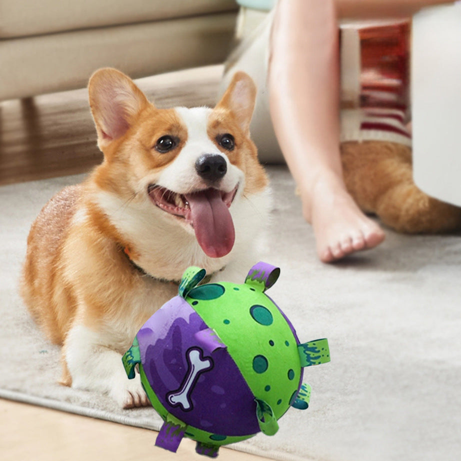 Dog Soccer Ball - Interactive Tug Toy with Straps