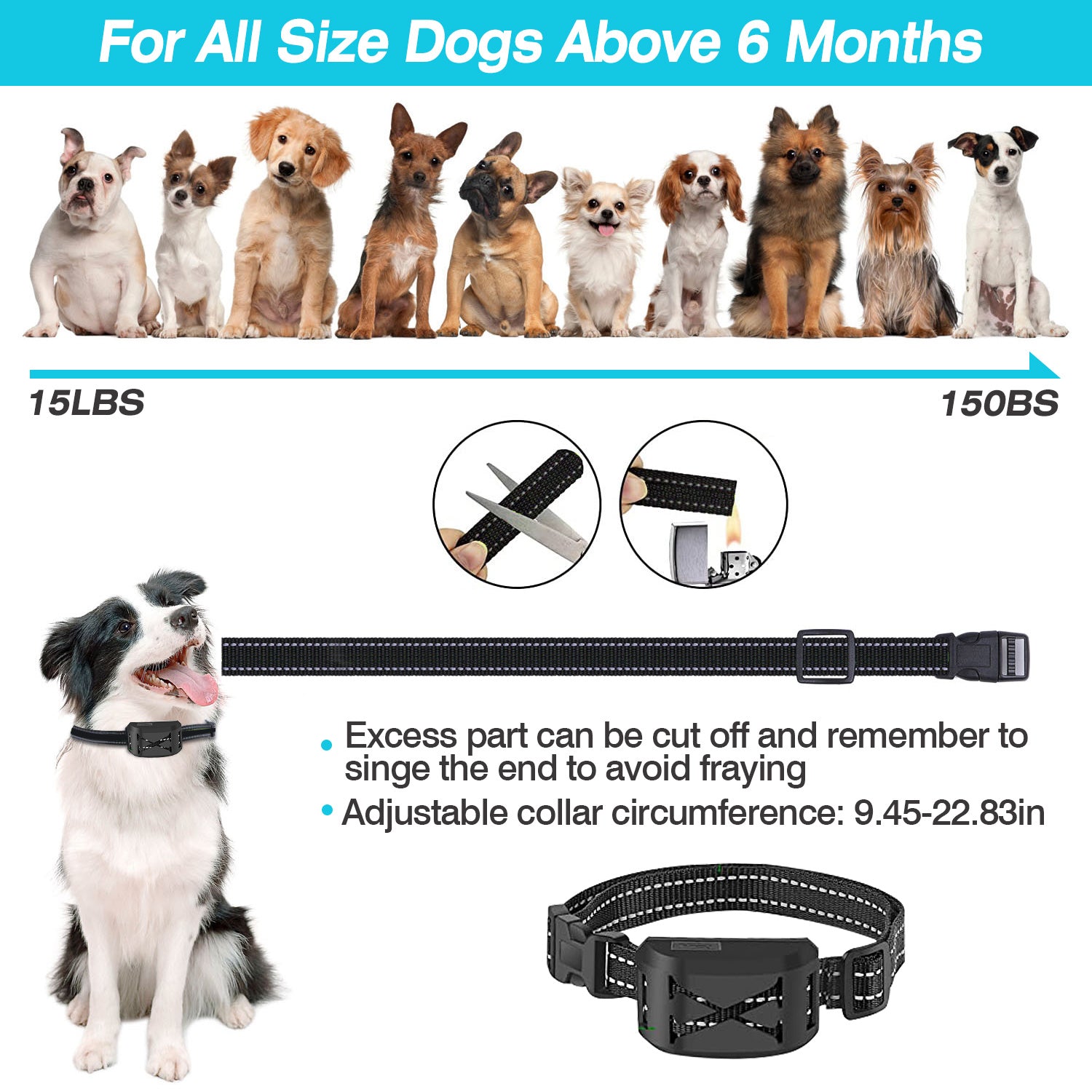 Dog Wireless Fence 2-in-1 - Training Collar System 2 Receivers