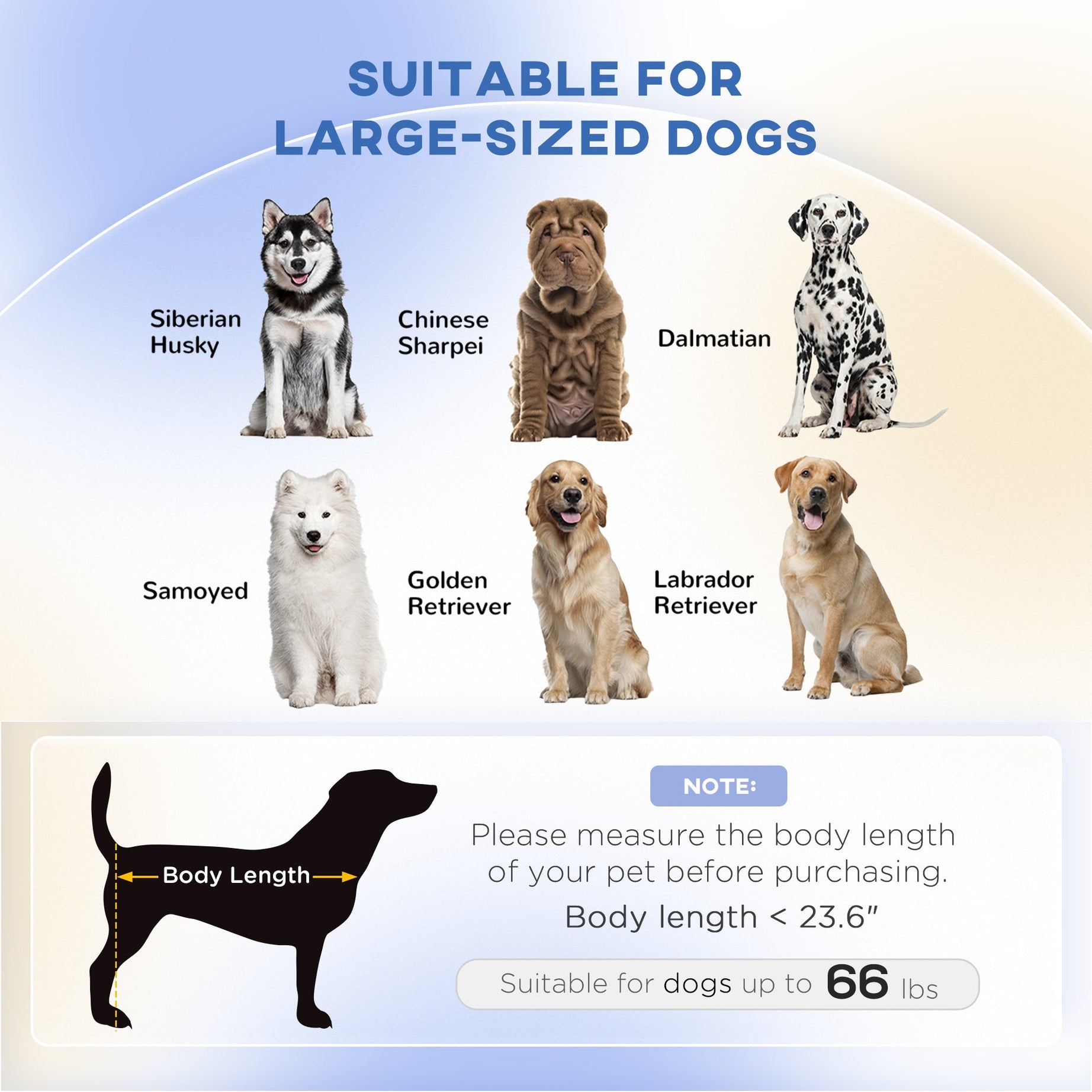 Dog Couch for Large Dogs - Washable & Elevated Sofa Bed