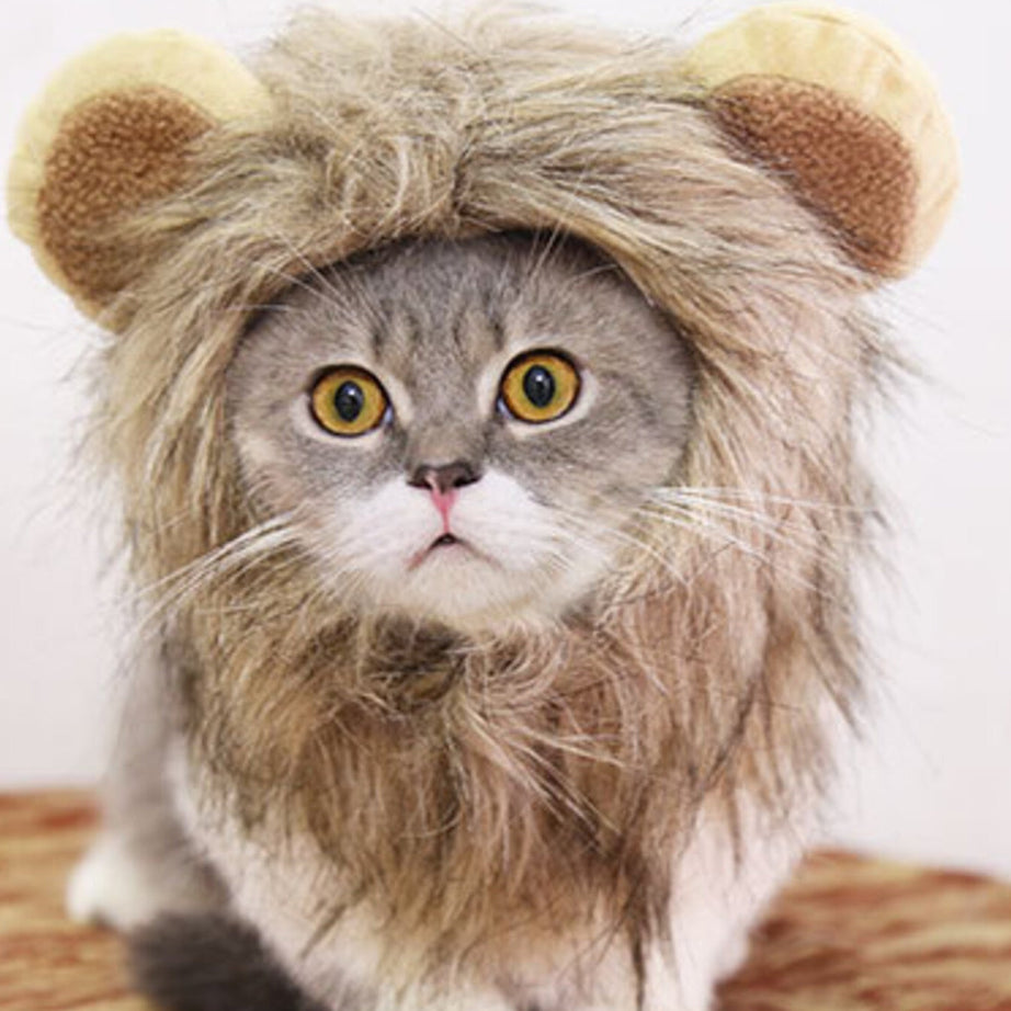Pet Lion Mane Hat - Funny Costume Headwear for Cats and Dogs
