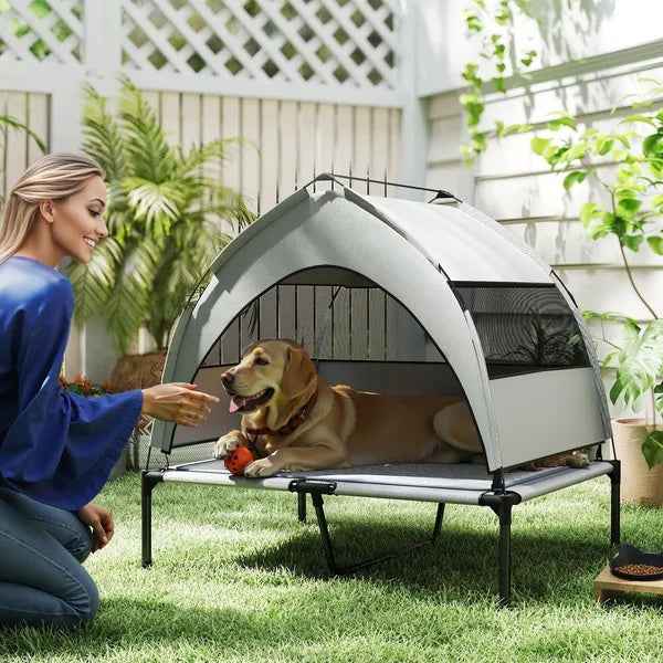 Elevated Dog Bed With Removable Canopy - Portable Outdoor Raised Cot
