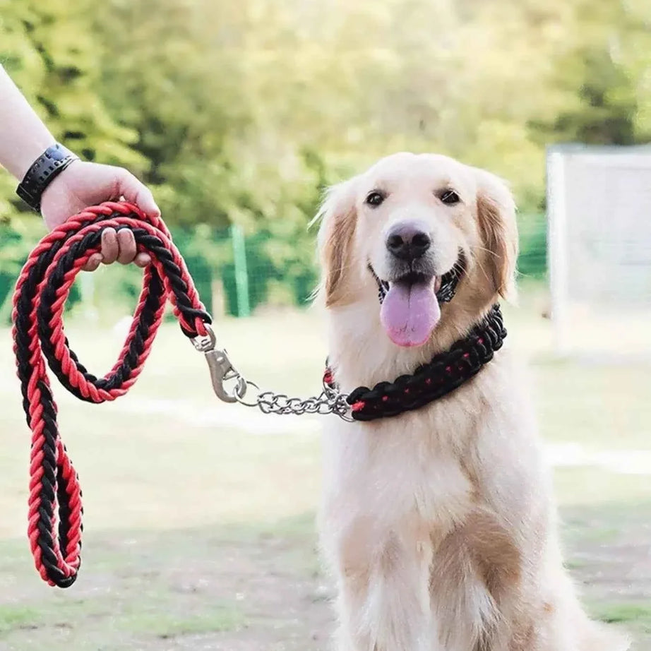 Dog Braided Rope Leash Set - Metal Clasp 4 Colors 3 Sizes