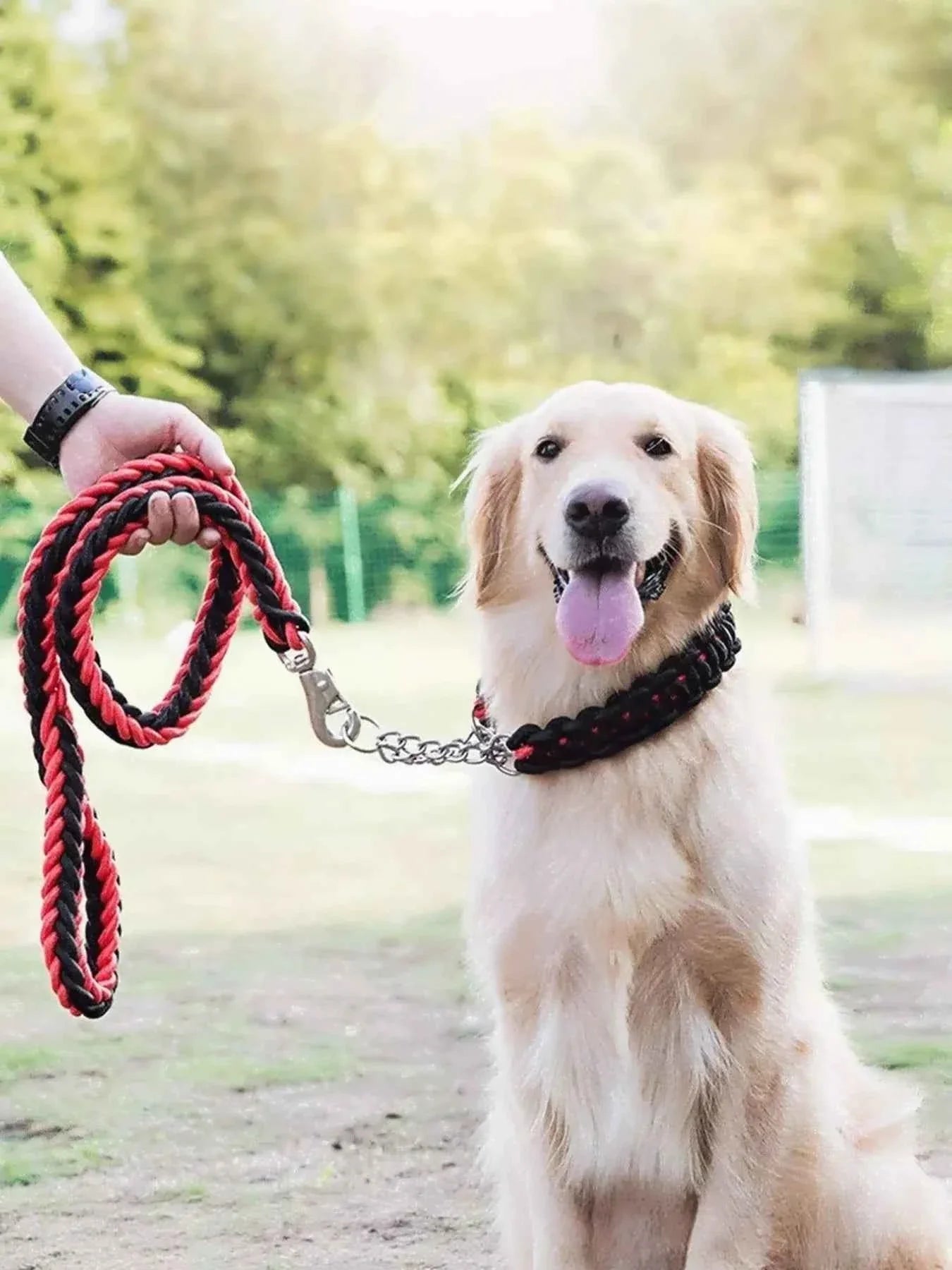 Dog Braided Rope Leash Set - Metal Clasp 4 Colors 3 Sizes