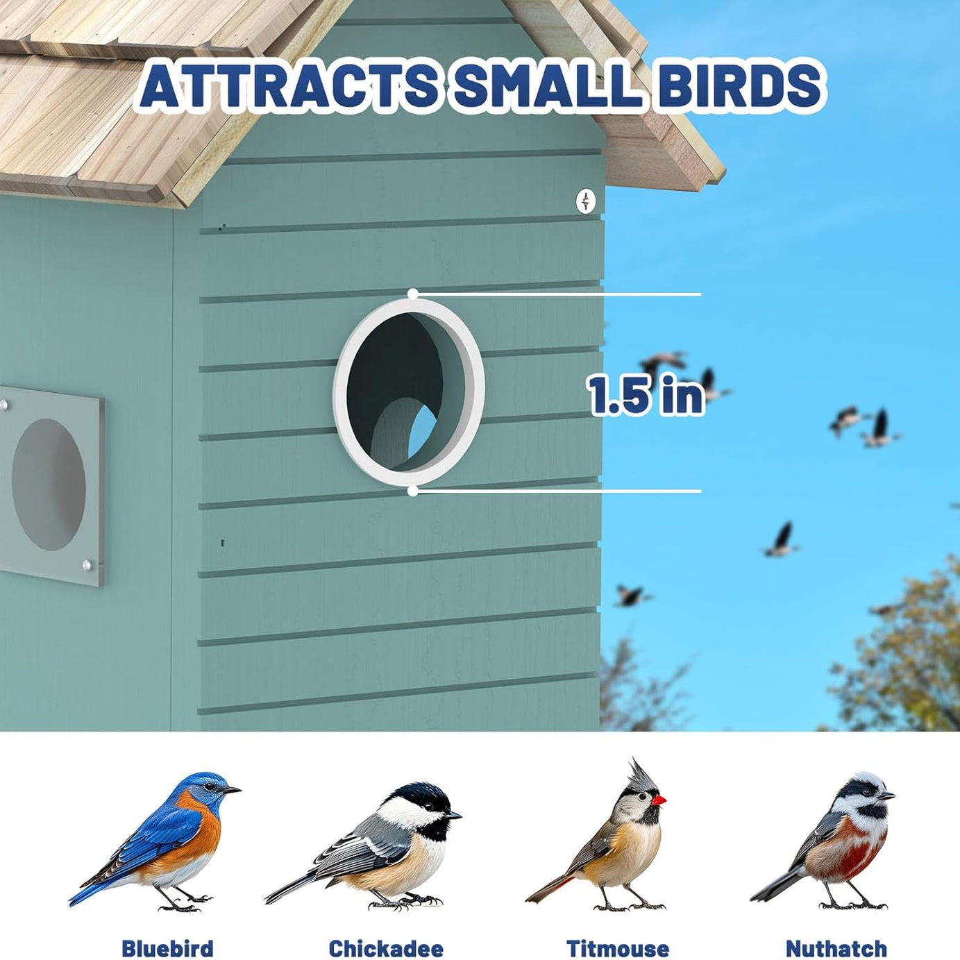 BirdNest AI House - Smart Camera 3MP 10K Species ID