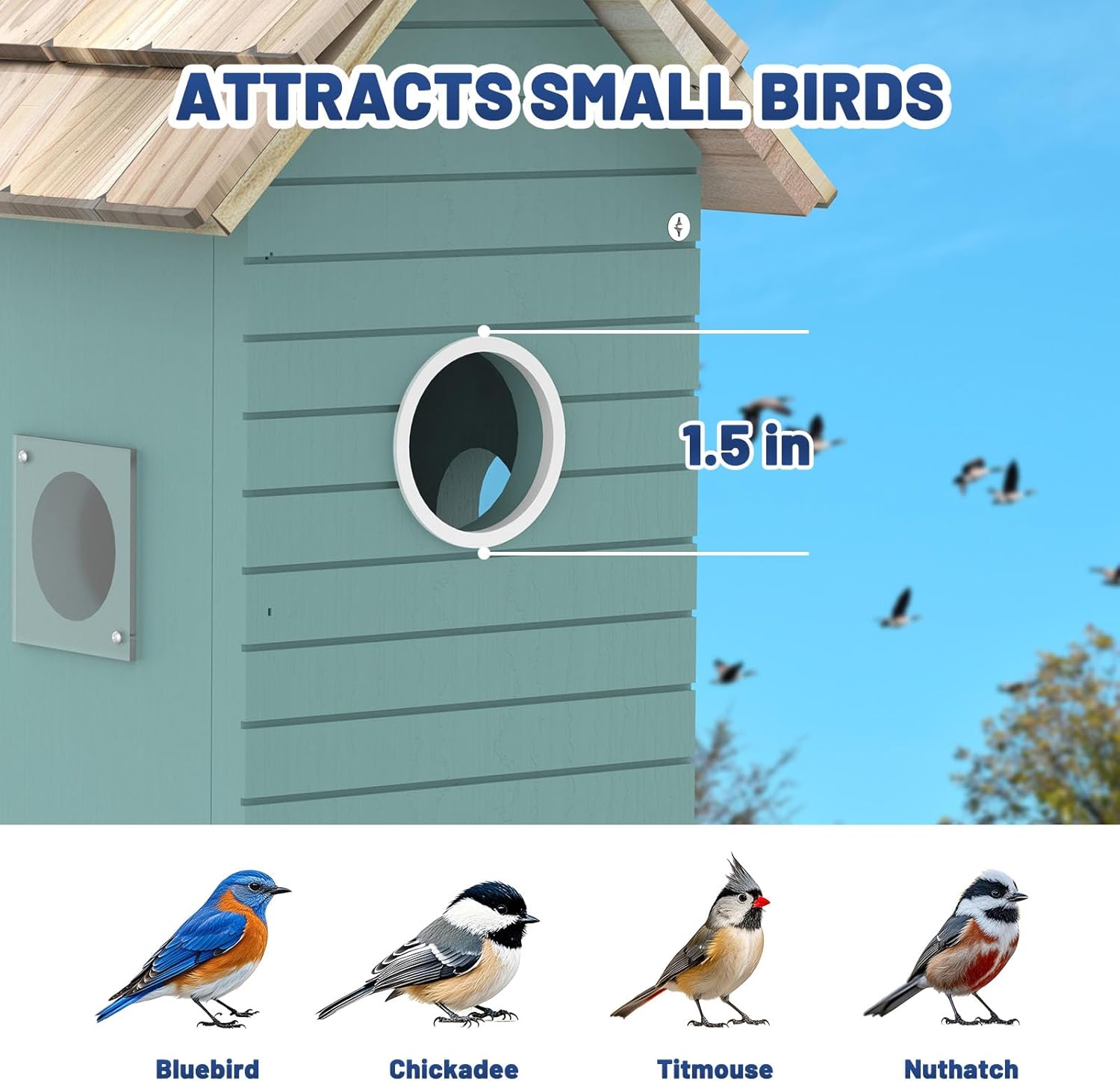BirdNest AI House - Smart Camera 3MP 10K Species ID