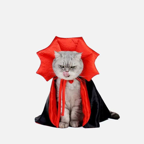 Cat Vampire Costume for Halloween Fun