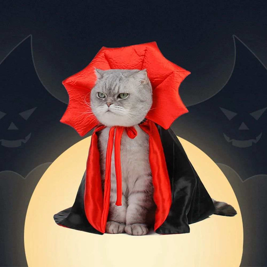 Cat Vampire Costume for Halloween Fun