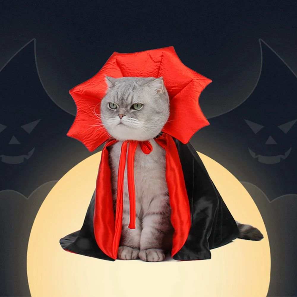Cat Vampire Costume for Halloween Fun