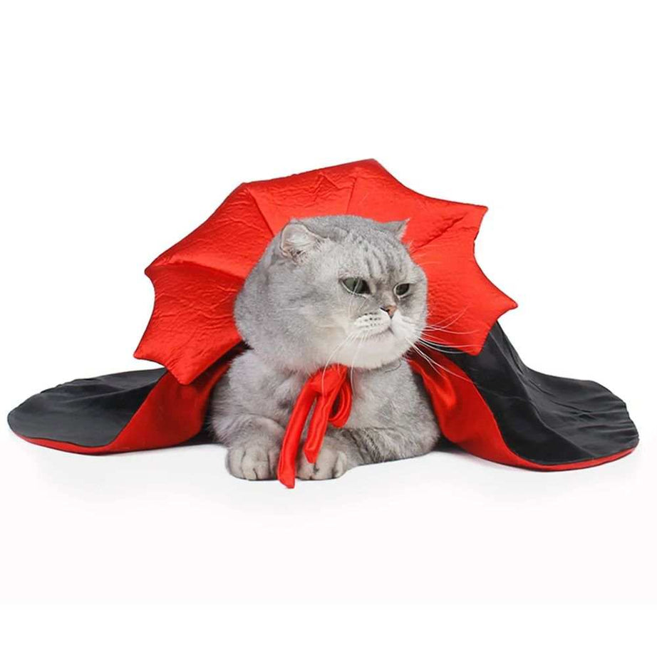 Cat Vampire Costume for Halloween Fun