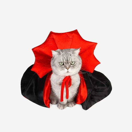 Cat Vampire Costume for Halloween Fun